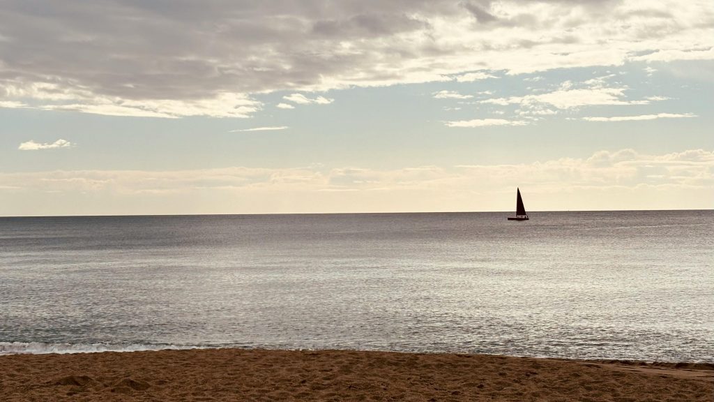 pexels-alberto-b-123398085-31638478